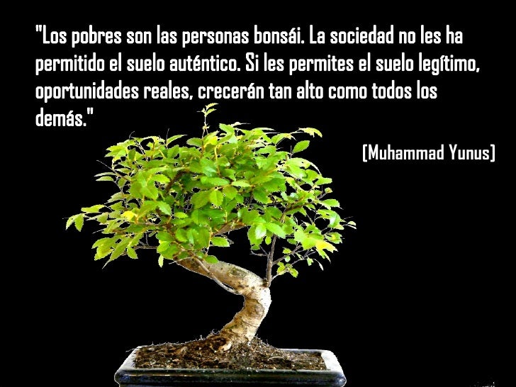 hacia un mundo sin pobreza yunus